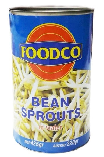 Foodco Soya Filizi 425 gr