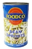 Foodco Soya Filizi 425 gr