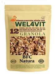 Wel4vıt Granola No:12 300 gr (Çikekli & Elmalı )